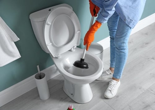 toilet drain plunger